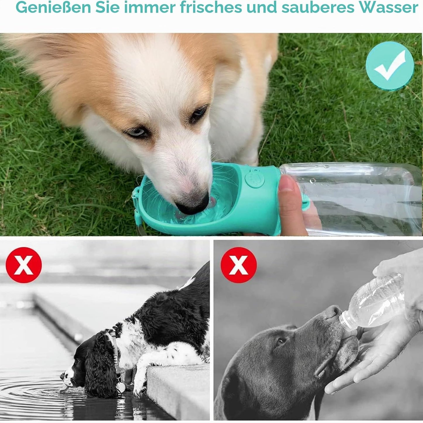 2-in-1 Dog Water Bottle